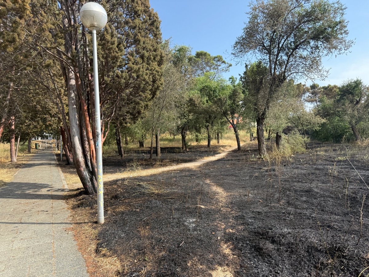 🔥Es periodo de riesgo alto de #incendiosforestales  Extrema las medidas preventivas:
Recuerda la prohibición de encender fuego en terreno forestal y una franja de 400 metros circundantes.
En especial, en las zonas en las que el terreno forestal se entremezcla con la zona urbana.