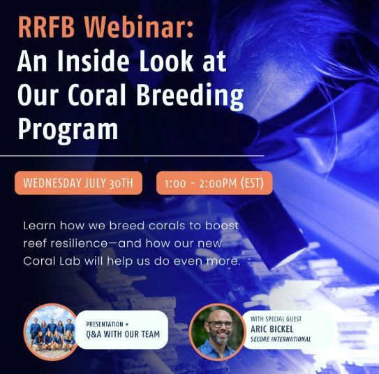 reef_research's tweet image. REEF RENEWAL FOUNDATION BONAIRE WEBINAR: An Inside Look at Our Coral Breeding Program
On Wednesday, July 30 at 1 PM (ET), Reef Renewal Foundation Bonaire is hosting a special webinar: An Inside Look at Our Coral Breeding Program!
Learn why breeding is necessary, how they…