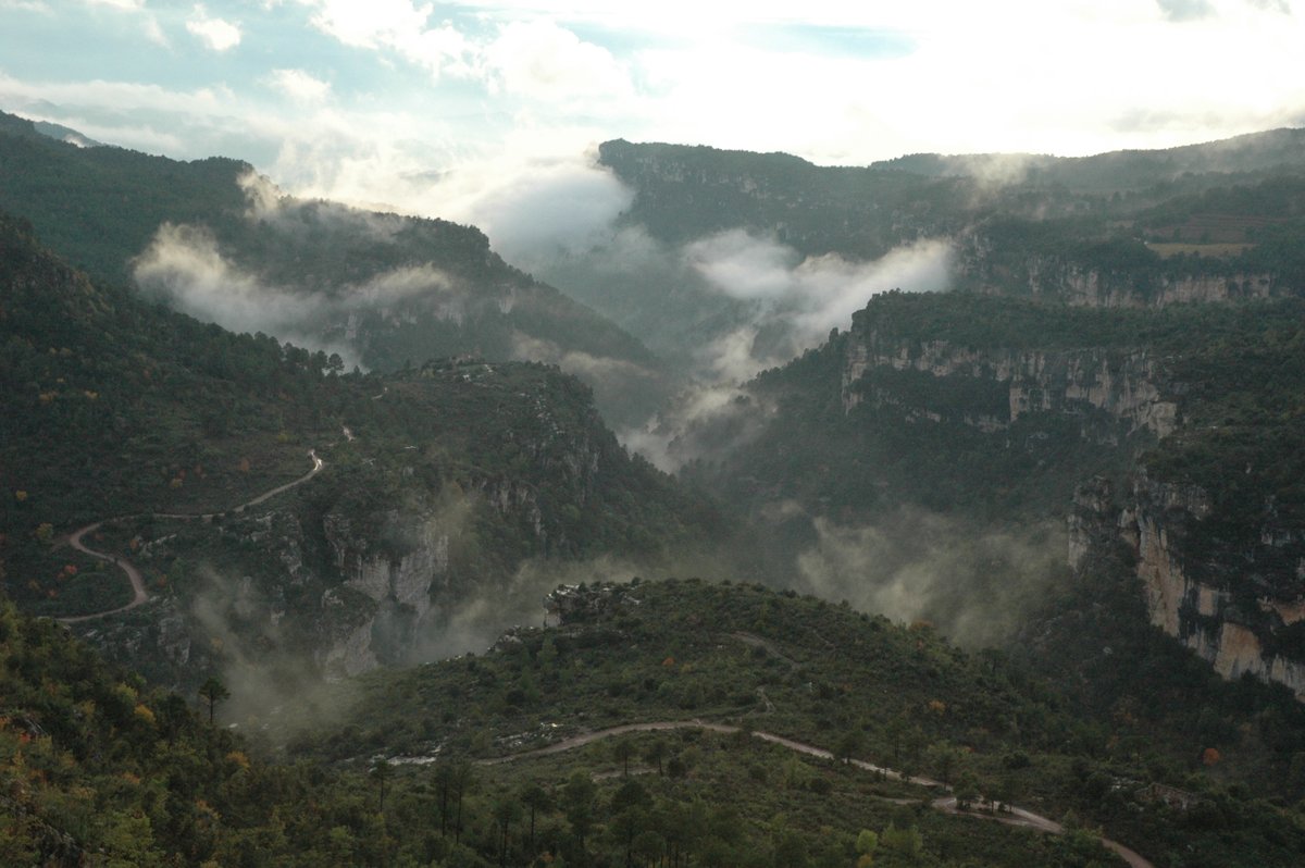 📍L'interior del Baix Camp és un territori feréstec i salvatge. Cingles, roques, muntanyes i mil racons per descobrir 🏞

🌳 Els boscos i les obagues son llocs perfectes per gaudir d'aquest entorn i de la seva tranquil·litat durant l'estiu🧘‍♂️

#MuntanyesCD #BaixCamp #costadaurada