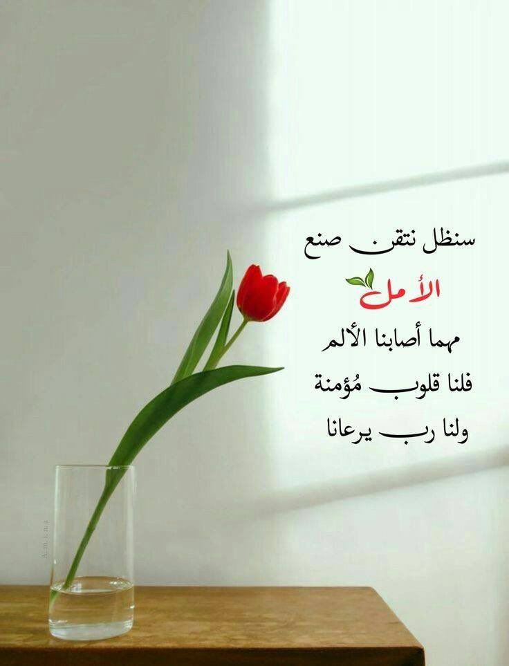 #همسة_لقلبك

ماكان التوفيق بيتًا تسكنونه، 
ولا شخصًا تُعاشرونه، 
ولا ثوبًا ترتدونه،

 التوفيق غيثٌ مِن الله، إن أذِن بهطوله على حياتك ما شقيت أبدًا،

 فاستمطروه بالصلاة والدُعاء 
وحُسن الظن بالله عزّ  وجل.. 
اللهُم توفيقًا نبلغ به كل خير وسِعة. 
#الأمان
#ثق_بربك