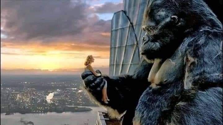 #الخميس_الونيسᅠ

الفيلم ده اثبتلي ان البنت بتحب اي حد يهتم بيها حتي لو كان قرد 😂😂💔