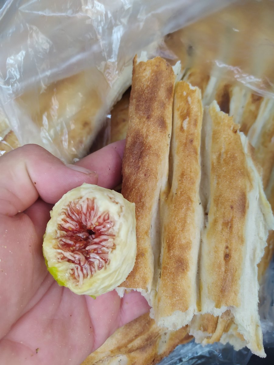 Tooghii's tweet image. ترکیب عالی ( نون و انجیل ) 😋