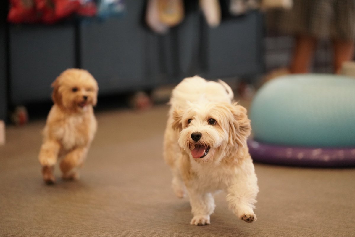 뒤에 있는 아기 주목
