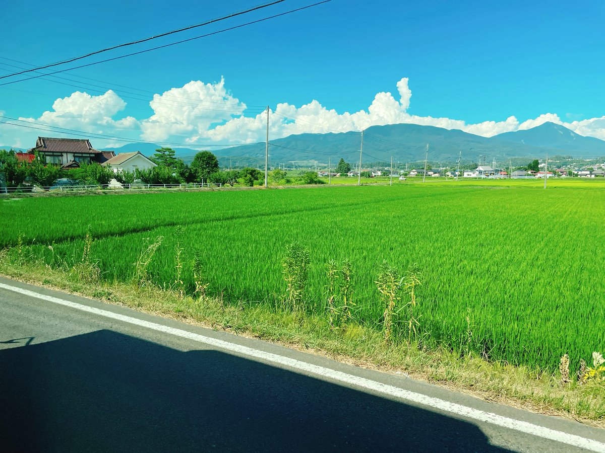 masayasuf's tweet image. 田