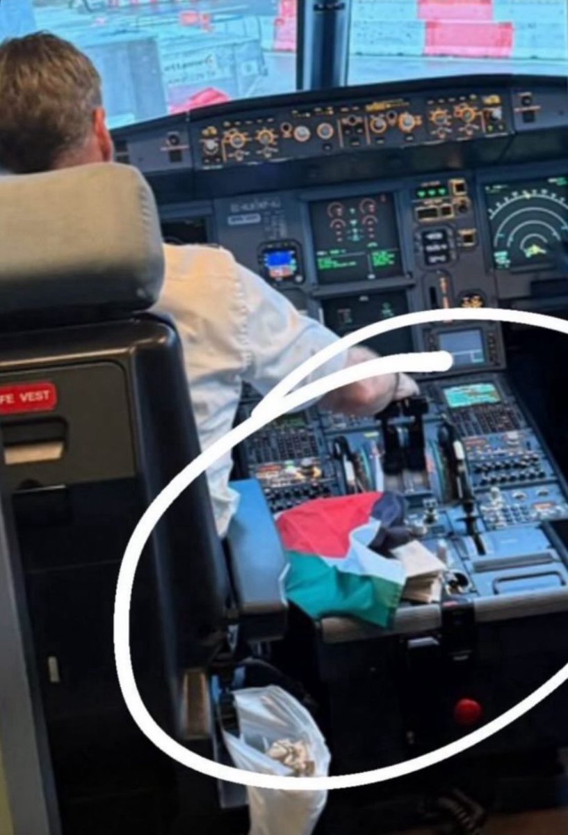 Un drapeau palestinien aurait été aperçu dans le cockpit de l’avion de la compagnie Vueling duquel les enfants juifs de la colonie de vacances Kineret ont été expulsés, comme le montre cette photo prise par l’un des passagers.

Je préfère ne rien dire.