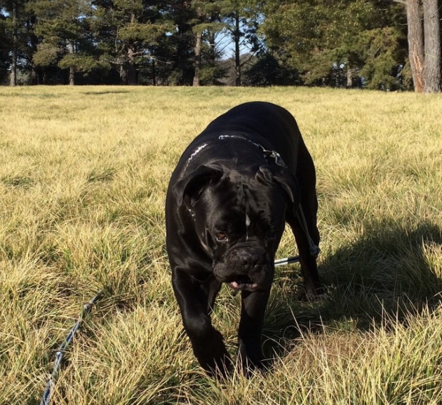 whaler_michael's tweet image. &quot;Boston&quot; in a good mood