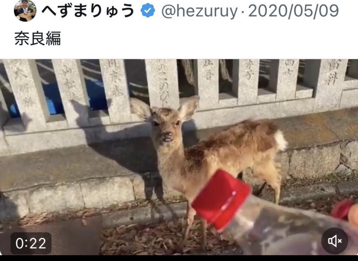 eraitencho's tweet photo. 鹿相手にメントスコーラやってたのはお前だよ。ふざけるな https://t.co/jO4n66Akcf