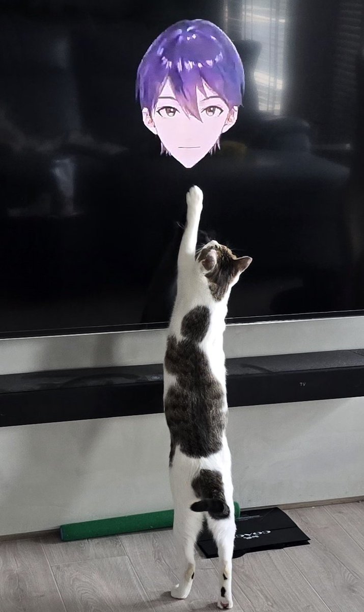 うちのねこが、
#剣持刀也