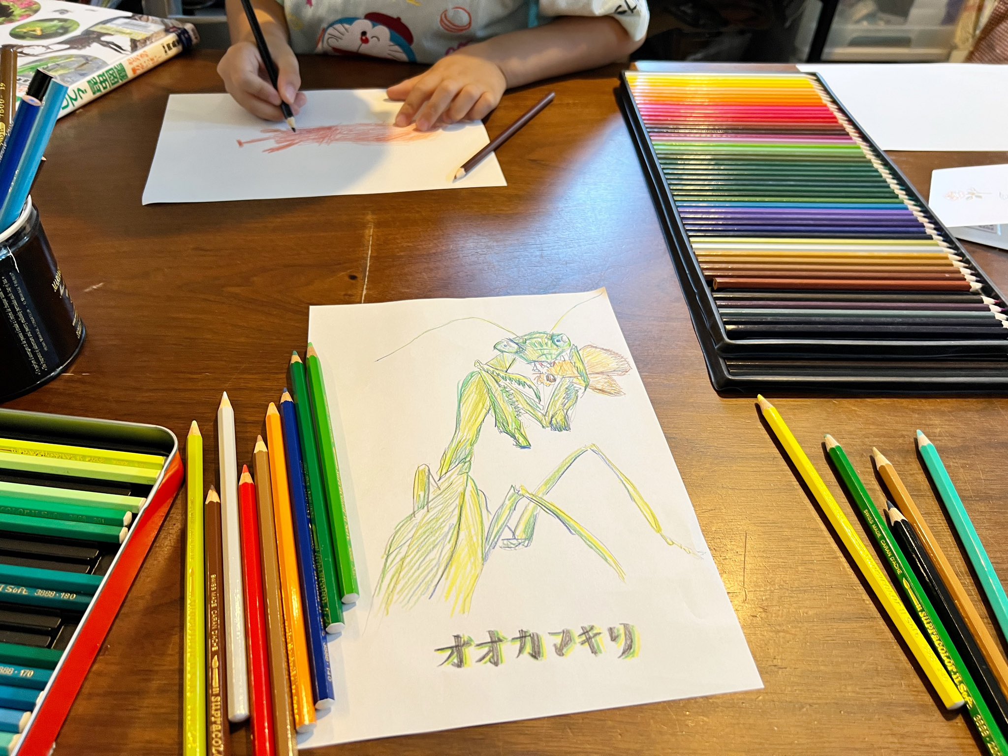 子供の作品　【にじとはしとくるま】　MacBookのアプリにて描いた絵 子ども向けお絵描きソフト【KidPix（キッドピクス）】が