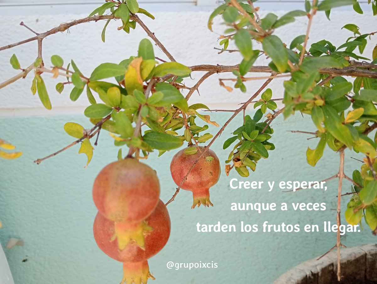 Creer y esperar,
aunque a veces
tarden los frutos en llegar.
Un canto para no perder
la esperanza:
youtu.be/mEufCWdSJD8?si…