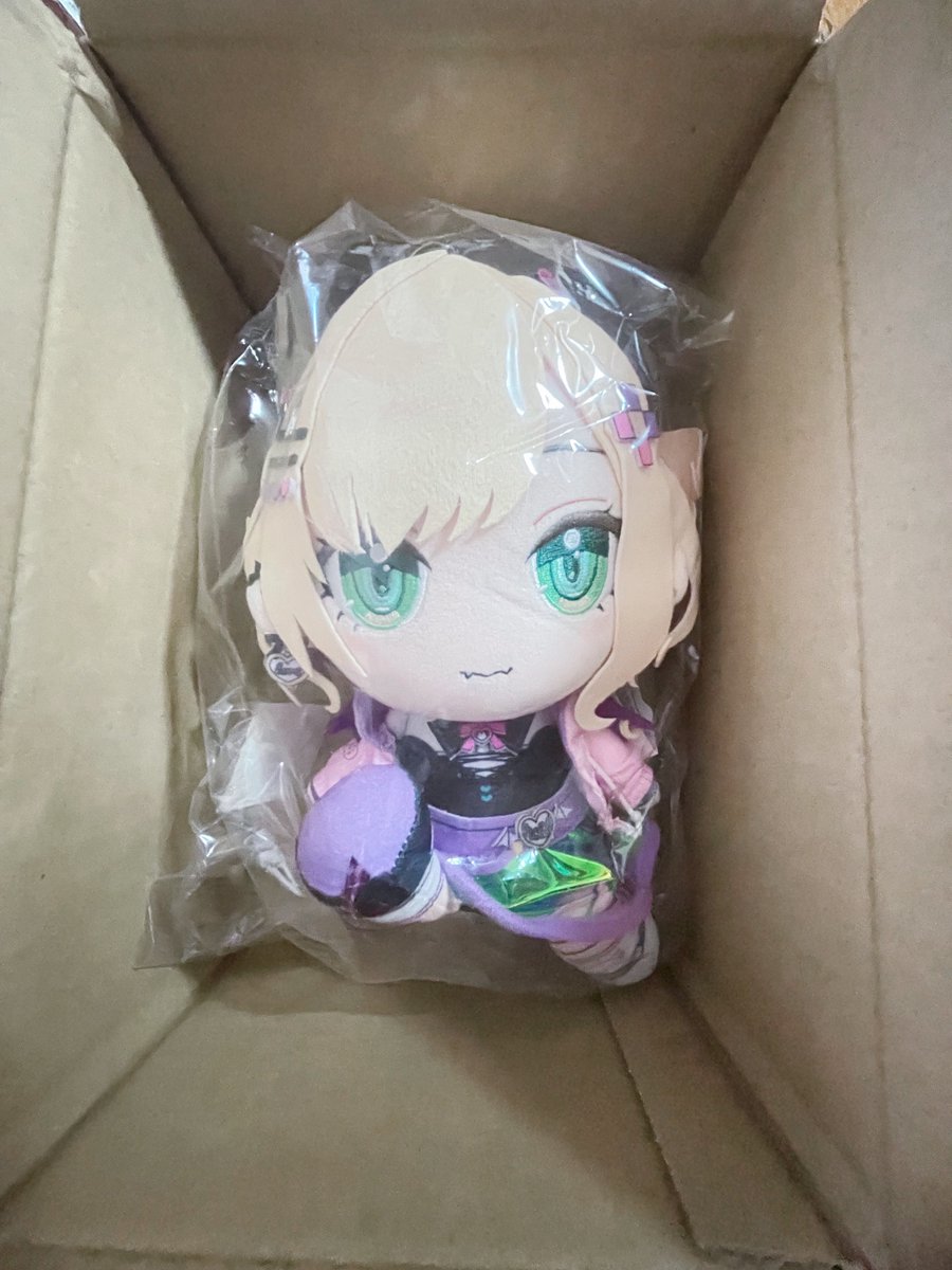 l0ve_sick___'s tweet image. うちに来たのあちゃんも大変元気でよろしい🎶