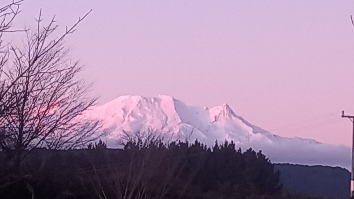 Just had a week with my daughter and son-in-laws place helping with their 7 month old twins and 3 year old . This is the view from the kitchen .