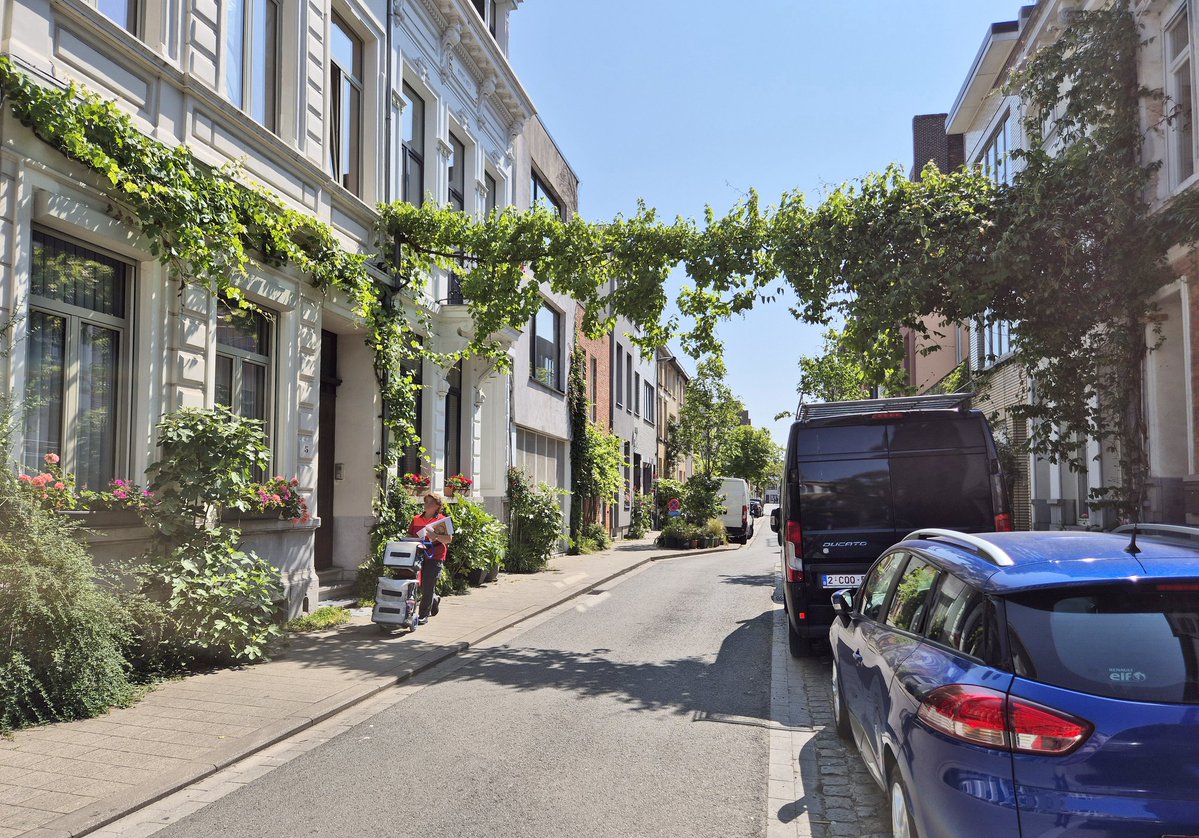 NandaSluijsmans's tweet image. Groene slingers🌿 volop in de stad #Antwerpen, zelfs in de drukbezette straten. Zo gaaf!🥰 Het maakt de straat vriendelijker, goed tegen hittestress☀️ en goed voor stadsdieren🦋.+++👌🏼
Én enthousiasmeert, geveltuintjes, vesterplantbakken, groene boomspiegels etc. ontstaan. 😃💚