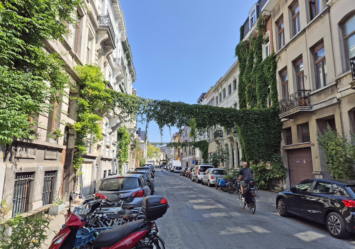 NandaSluijsmans's tweet image. Groene slingers🌿 volop in de stad #Antwerpen, zelfs in de drukbezette straten. Zo gaaf!🥰 Het maakt de straat vriendelijker, goed tegen hittestress☀️ en goed voor stadsdieren🦋.+++👌🏼
Én enthousiasmeert, geveltuintjes, vesterplantbakken, groene boomspiegels etc. ontstaan. 😃💚