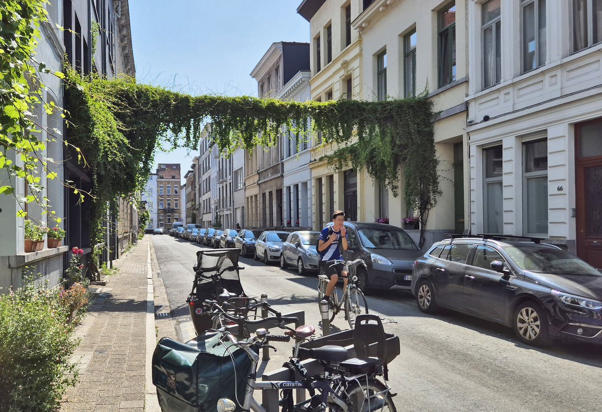 NandaSluijsmans's tweet image. Groene slingers🌿 volop in de stad #Antwerpen, zelfs in de drukbezette straten. Zo gaaf!🥰 Het maakt de straat vriendelijker, goed tegen hittestress☀️ en goed voor stadsdieren🦋.+++👌🏼
Én enthousiasmeert, geveltuintjes, vesterplantbakken, groene boomspiegels etc. ontstaan. 😃💚