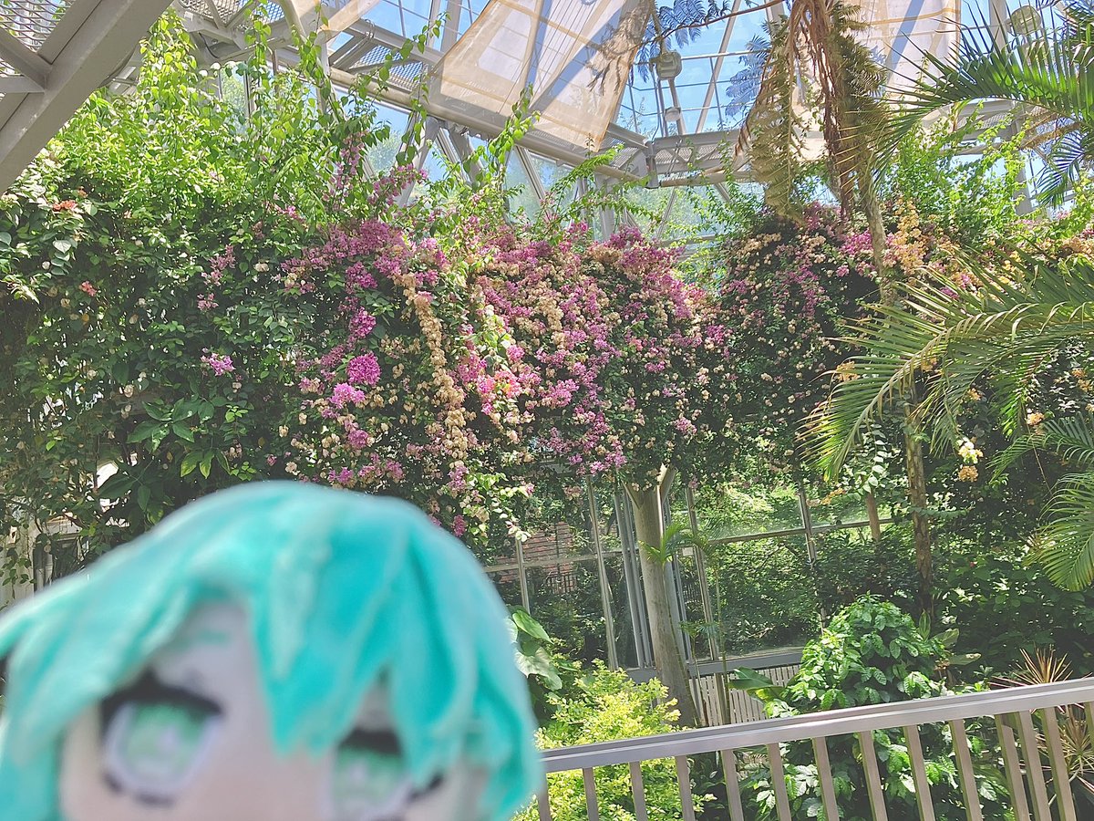U_fe_'s tweet image. 
