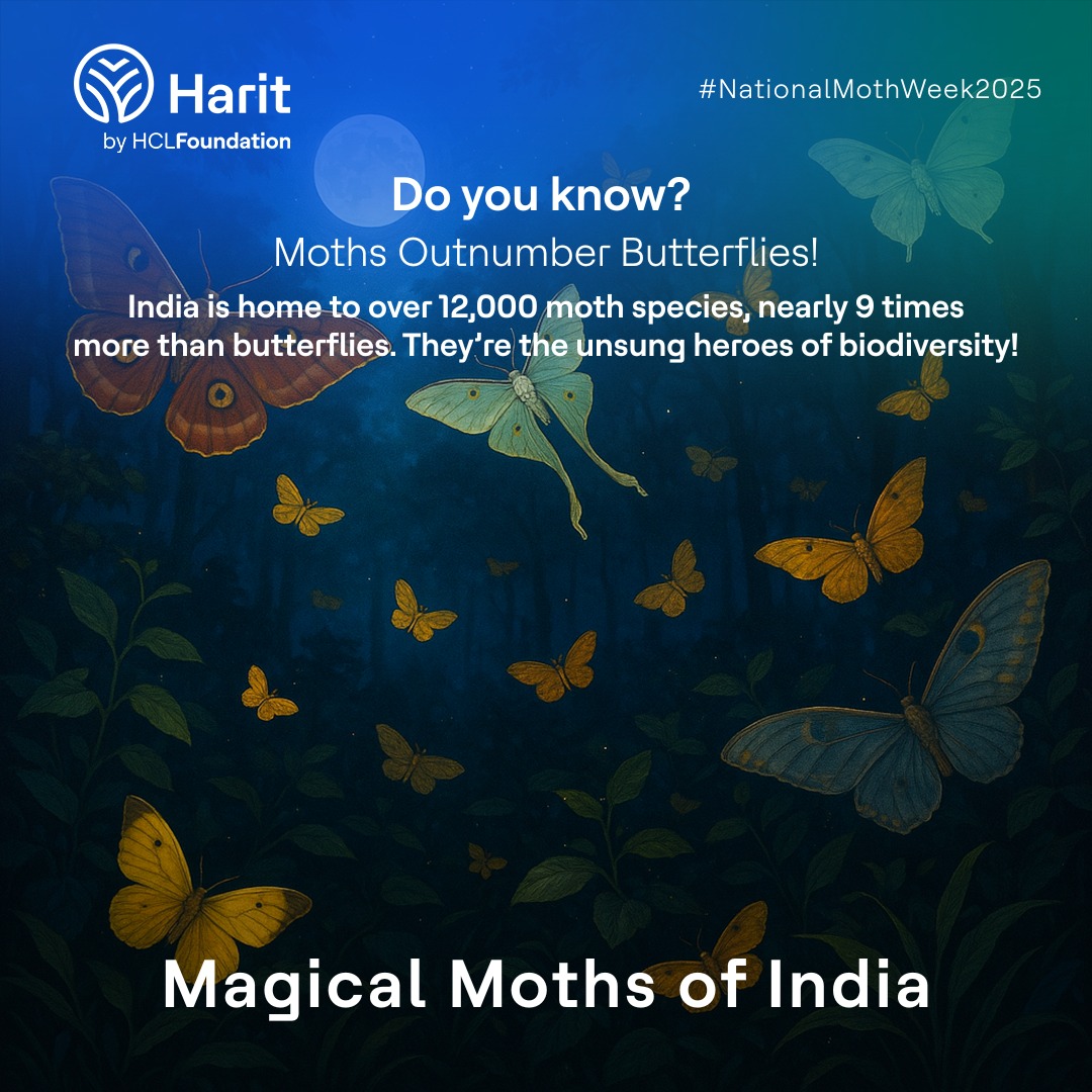 We often celebrate butterflies for their beauty. Do you know that moths are their less celebrated, but more abundant cousins? This National Moth Week, let's shift the spotlight to moths!
#NationalMothWeek2025 #CitizenScience #MothAwareness #HaritbyHCLFoundation #HCLFoundation