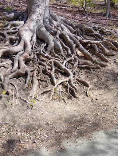 Good morning from Germany ☕🇩🇪