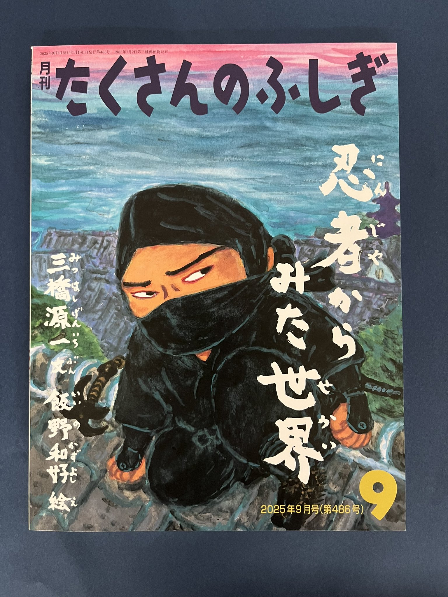 月間 たくさんのふしぎ 2019年～2021年 海と川が生んだたからもの 北上川のヨシ原 (月刊たくさんの
