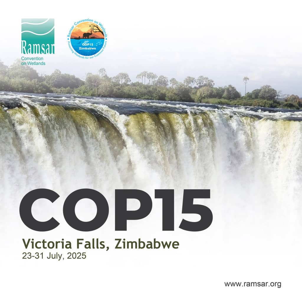 GreenBotswana's tweet photo. This week, 5 of us have travelled to Victoria Falls, Zimbabwe to attend @RamsarConv. We will present about a Wetlands village in the Okavango Delta called Sexaxa Village. The women have created Sexaxa Womens Enterprise, and are looking to diversify their industry https://t.co/Xlim8RS3eC