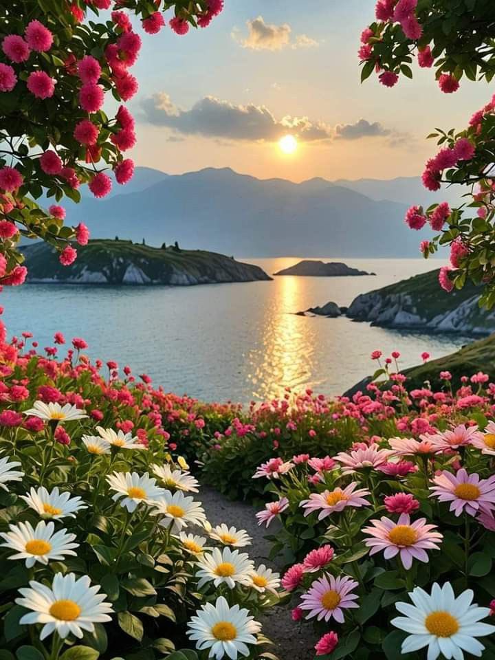 صباح الخير ♥️
