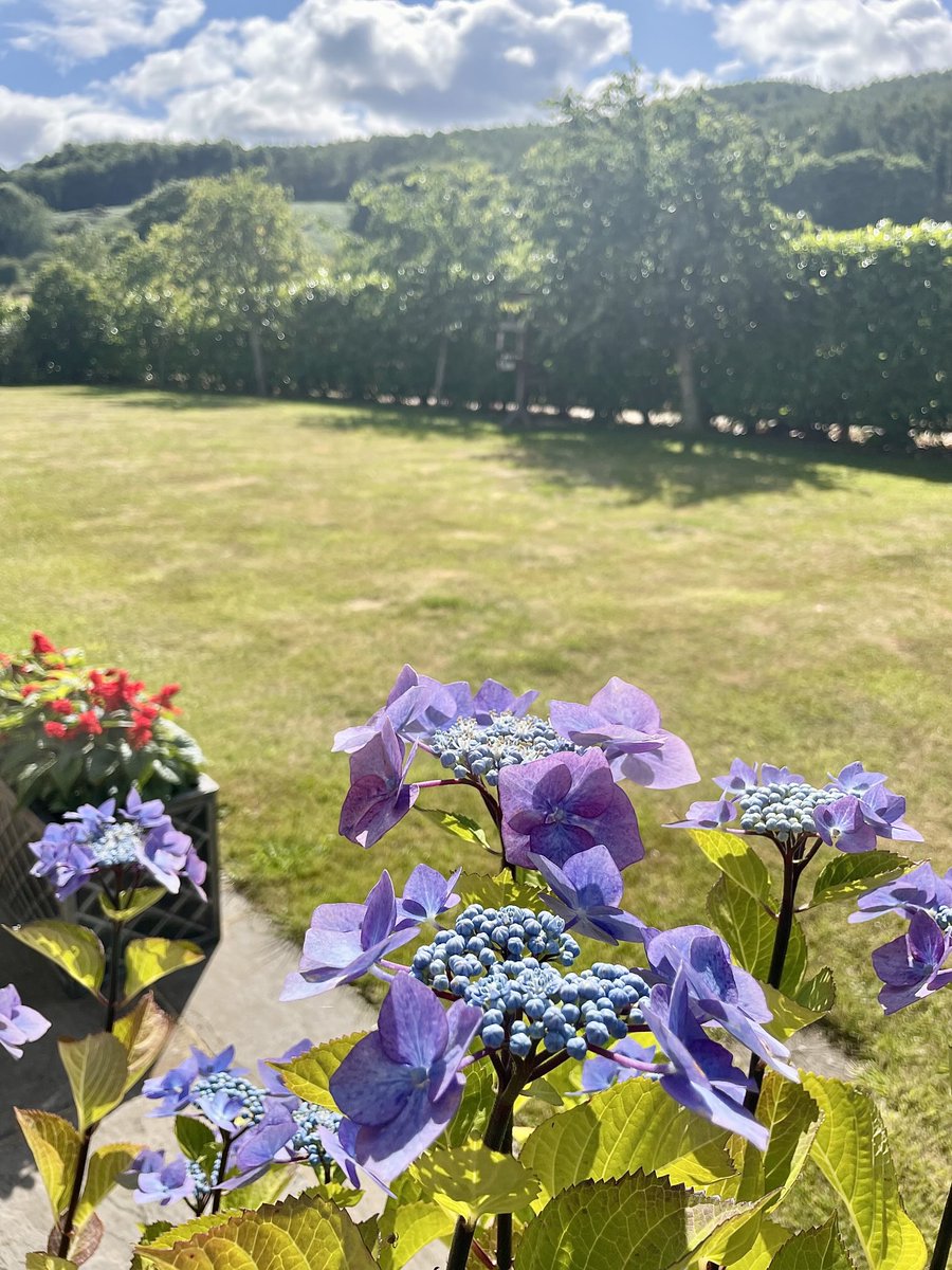 Nicky13Johnson's tweet image. Wishing you a happy Thursday from North Yorkshire 😊