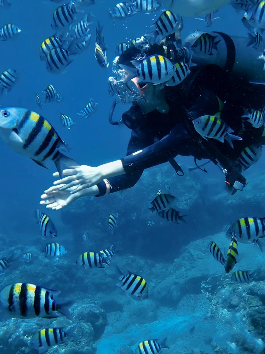 Finding Atlantis 🤿 #diving