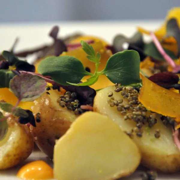 Bonnotte de Noirmoutier à la poutargue

#different_recipes #frenchfood #food #foodporn #instafood #foodie #france #foodstagram #yummy #paris #foodphotography #foodlover #restaurant #french #delicious #homemade #recipe #recipes #recette #recettes #finedining