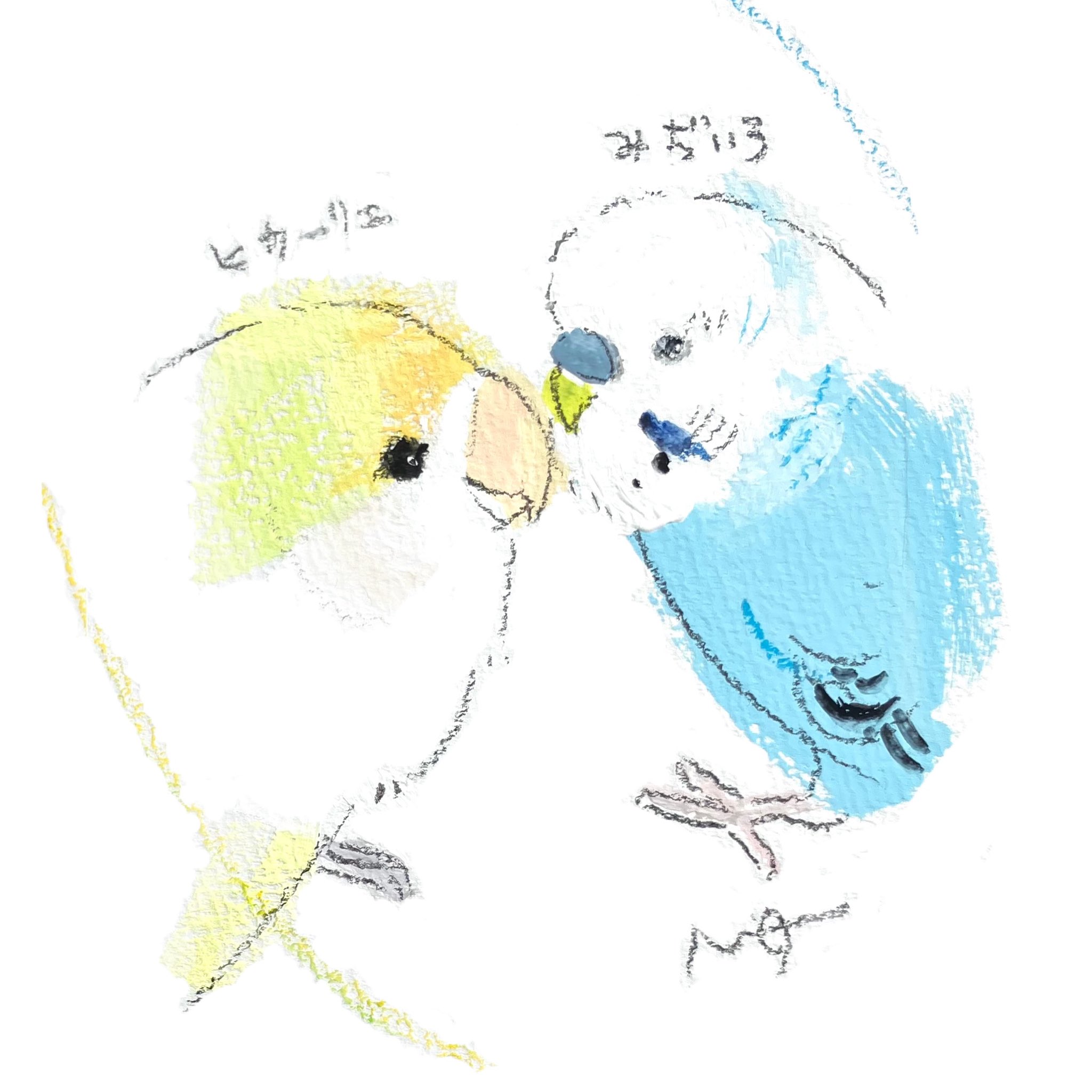 オクムラミチヨ on X: 