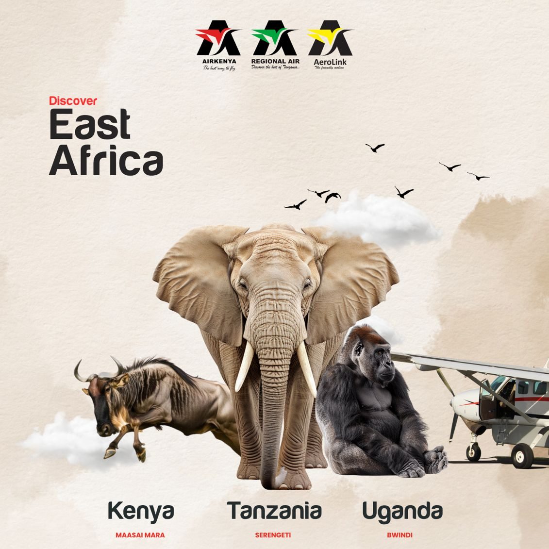 AirKenyaExpress's tweet image. #Kenya 🇰🇪 + #Tanzania 🇹🇿 + #Uganda 🇺🇬 = Your ultimate #EastAfrican #safari
Fly seamlessly between the #MaasaiMara, |#Serengeti & #Bwindi with our family of airlines: #AirKenya, @regional_airTZ & @AerolinkUganda
One incredible journey, made easy.
#EastAfrica #SafariReady #Travel