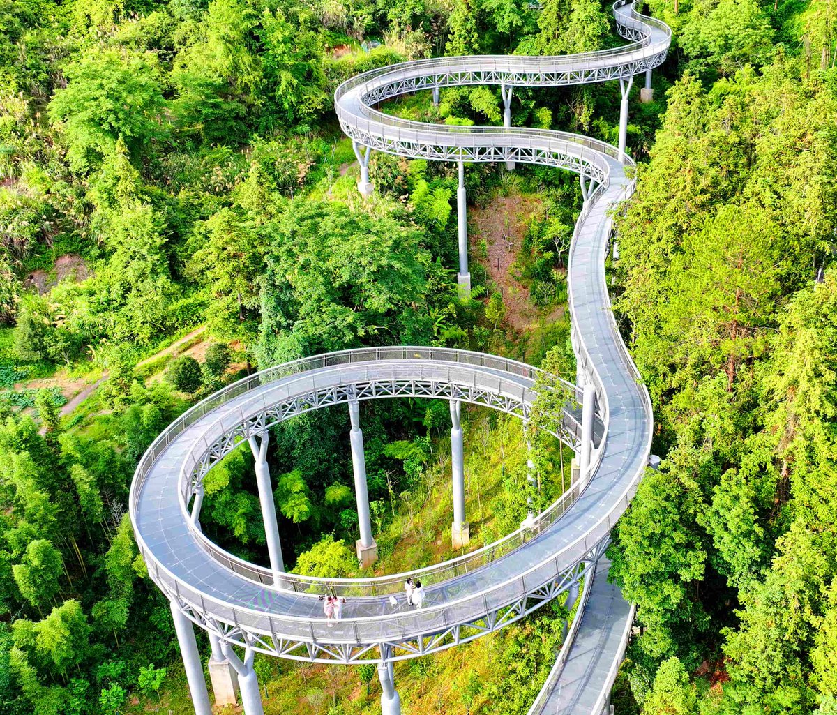 PDChinaLife's tweet image. Wander through the forest canopy along the “floating forest corridor,” where a steel-grating walkway and insect-friendly lighting create an eco-friendly escape into nature in Chongyi County, east China’s Ganzhou City.