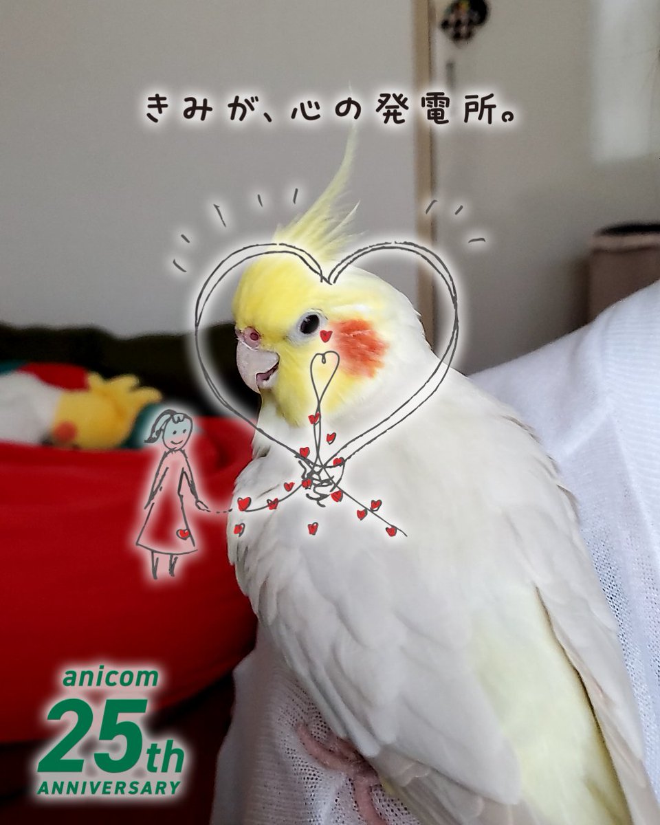 #アニコム
#きみが心の発電所