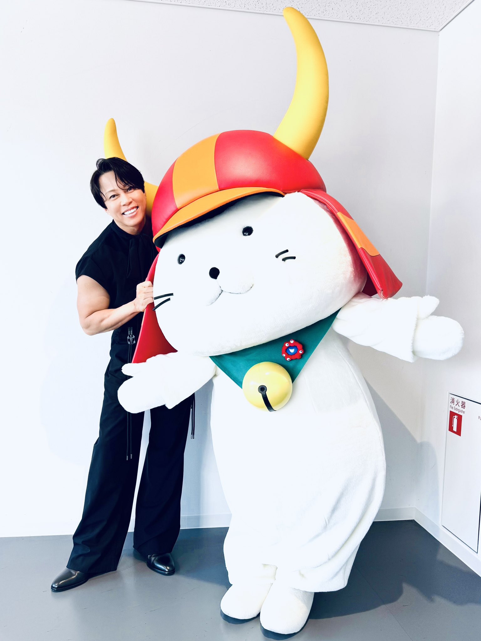 ひこにゃんさん専用 ひこにゃん オリジナル シルク扇子【22㎝】 - J-SELECT ONLINE STORE