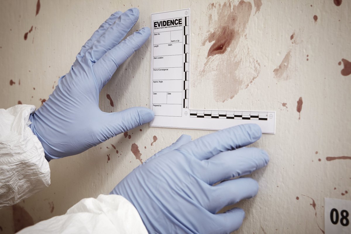 ForensicAccess's tweet image. 🩸The shape, size, and distribution of bloodstains can reveal the sequence of events in a violent crime. 

👉 Discover how BPA aids in #crimescene reconstruction and strengthens #criminal investigations in our article: ow.ly/sywS50U7Y0q

#bloodpatternanalysis