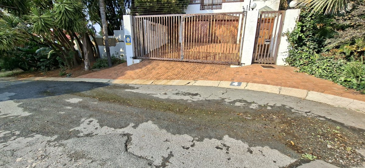 stefano madies tweet media