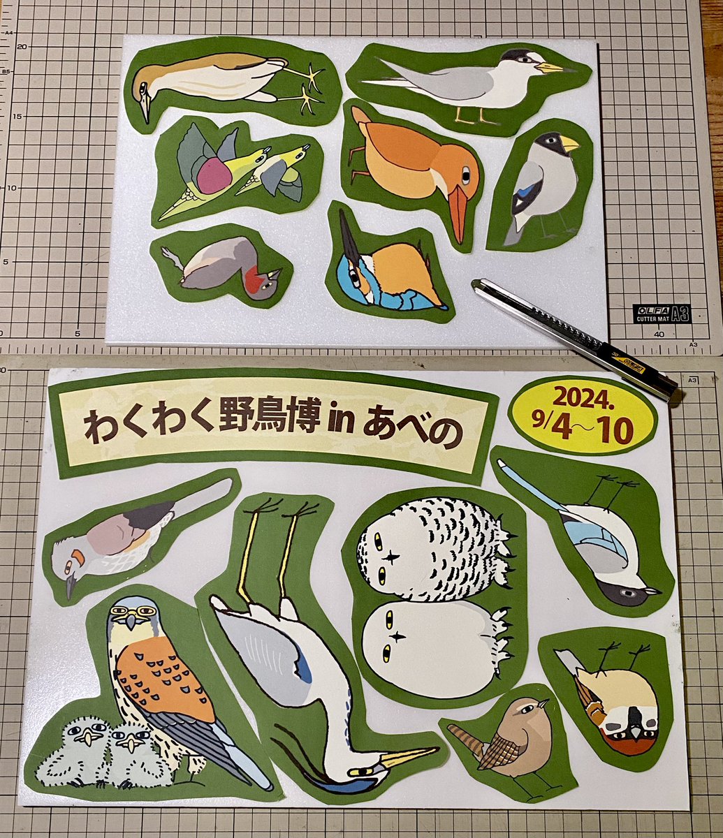 Yachoo_Seikatsu's tweet image. わくわく野鳥博の会場に設置する、ぬいぐるみ用の顔出し看板を作っています。
うまくいくかなーー！