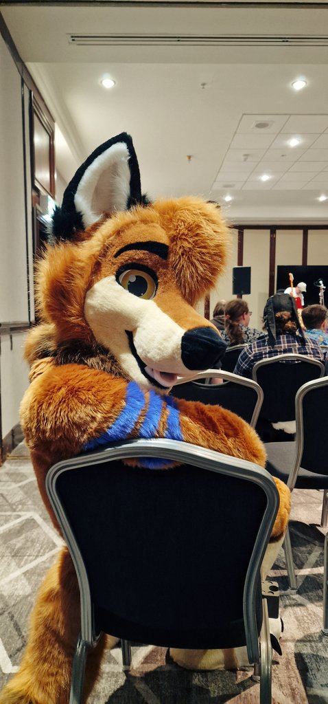 TibbleTheFox's tweet image. Big milestone birthday today 🎈🥳
Managed to get my house and my fullsuit 2 months before it, goals achieved.
Now I just get to fox around and be an idiot for years 🦊
