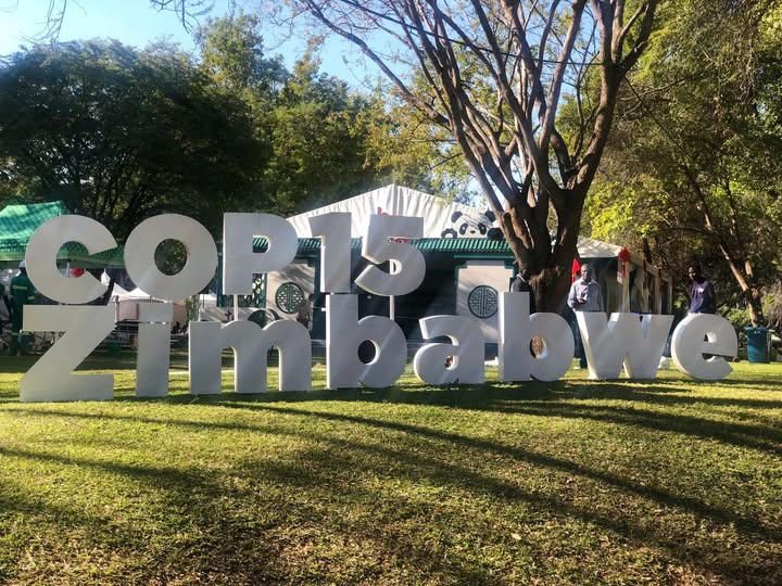 SimangalisoDub5's tweet image. Today marks a significant milestone as @edmnangagwa officially opens the Ramsar Convention on @wetlandscop15 at Elephants Hills Hotel, Vic Falls. Under the theme 'Protecting Wetlands for Our Common Future,' we unite to safeguard our precious ecosystems for generations to come