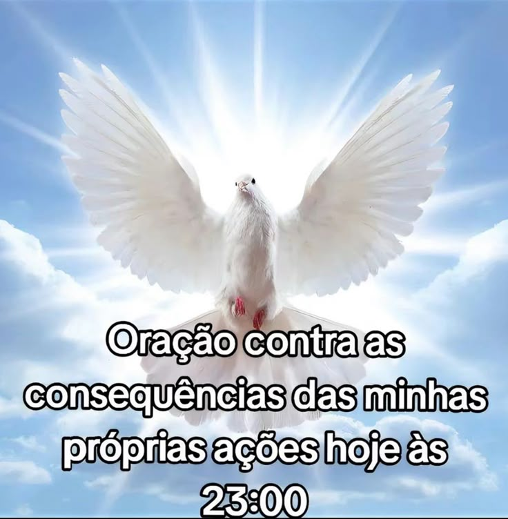 odeiootaco's tweet photo. https://t.co/Dtov77tiUd