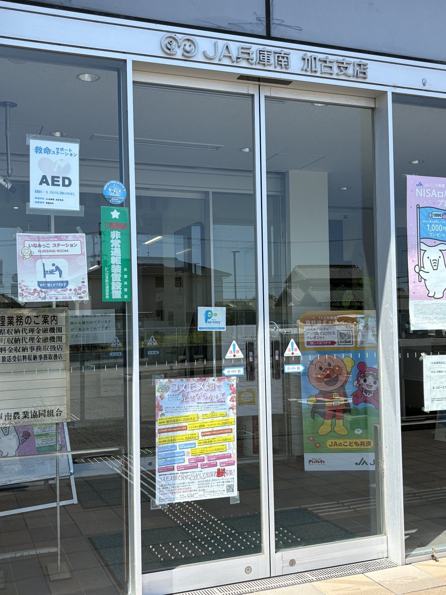 「コスモス畑で見せびらかして」
今月末まで出演者募集しています

このポスターを探せ😆
ここの二次元コードを読み取ると詳細がわかるよ
なんと！脚本も読めるんだよー

みんなでミュージカルを作っていきましょう♪
(Sayo)

Thanks for JA兵庫南加古支店

#稲美龍の子