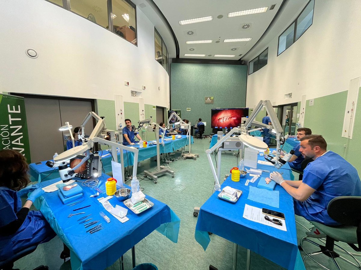 🚨 Solo un 22% de las plazas ofertadas por el SAS a los MIR han sido aceptadas.

Desde UGT lo tenemos claro: sin mejoras laborales y económicas, no se retiene talento.

👶 En Pediatría de Primaria: 187 plazas, solo 7 cubiertas. Un fracaso.

#SanidadPública #SAS #UGT