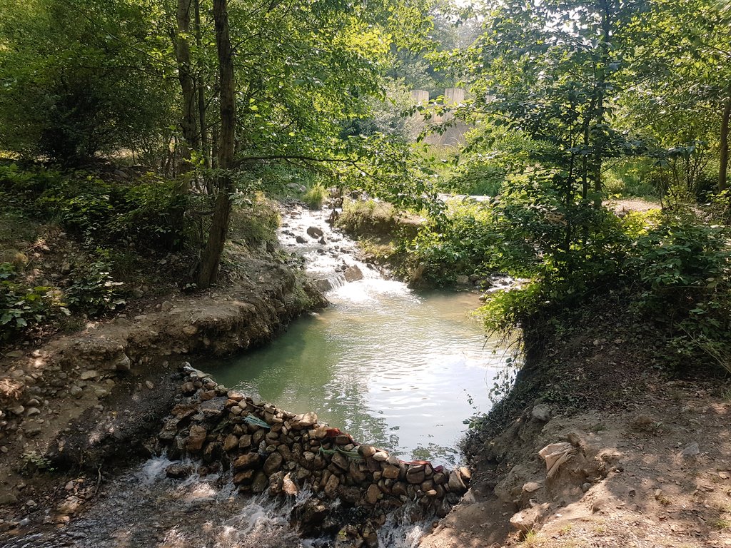 چی درست کردم💪بهشت عدن در گرمای تابستان
بفرمایید🏊‍♂️