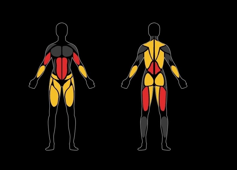 JaseTheWizard's tweet image. The workout log is back = Your daily reminder to exercise. 

24/07/25 
Sled - 5mins
Romanian deadlift - 3 sets, reps
Seated back ext - 3 sets, 12 reps
Superman - 3 sets, 20 reps
Tricep ext - 2 sets, 10 reps
French press - 2 sets, 20 reps

Followed by a 20min walk outside.