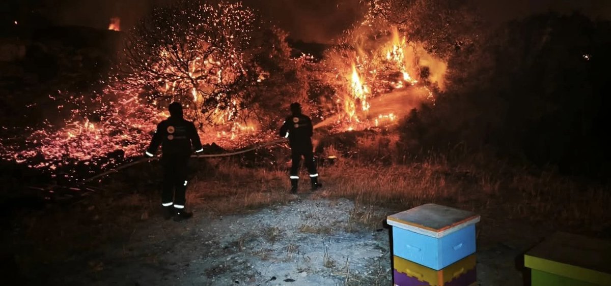 Once a Scruffy Cop (@scruffycop) on Twitter photo #Cyprus, the country that is dear to our family has been subjected (still is) to some terrible fires. There will be a huge loss of #wildlife. Thoughts are with the <a href="/birdlifecyprus/">BirdLife Cyprus</a> team out there. Stay safe. #cyprusfire #CyprusWildfires #CyprusWildfire #birdlife #Cyprus, the country that is dear to our family has been subjected (still is) to some terrible fires. There will be a huge loss of #wildlife. Thoughts are with the <a href="/birdlifecyprus/">BirdLife Cyprus</a> team out there. Stay safe. #cyprusfire #CyprusWildfires #CyprusWildfire #birdlife