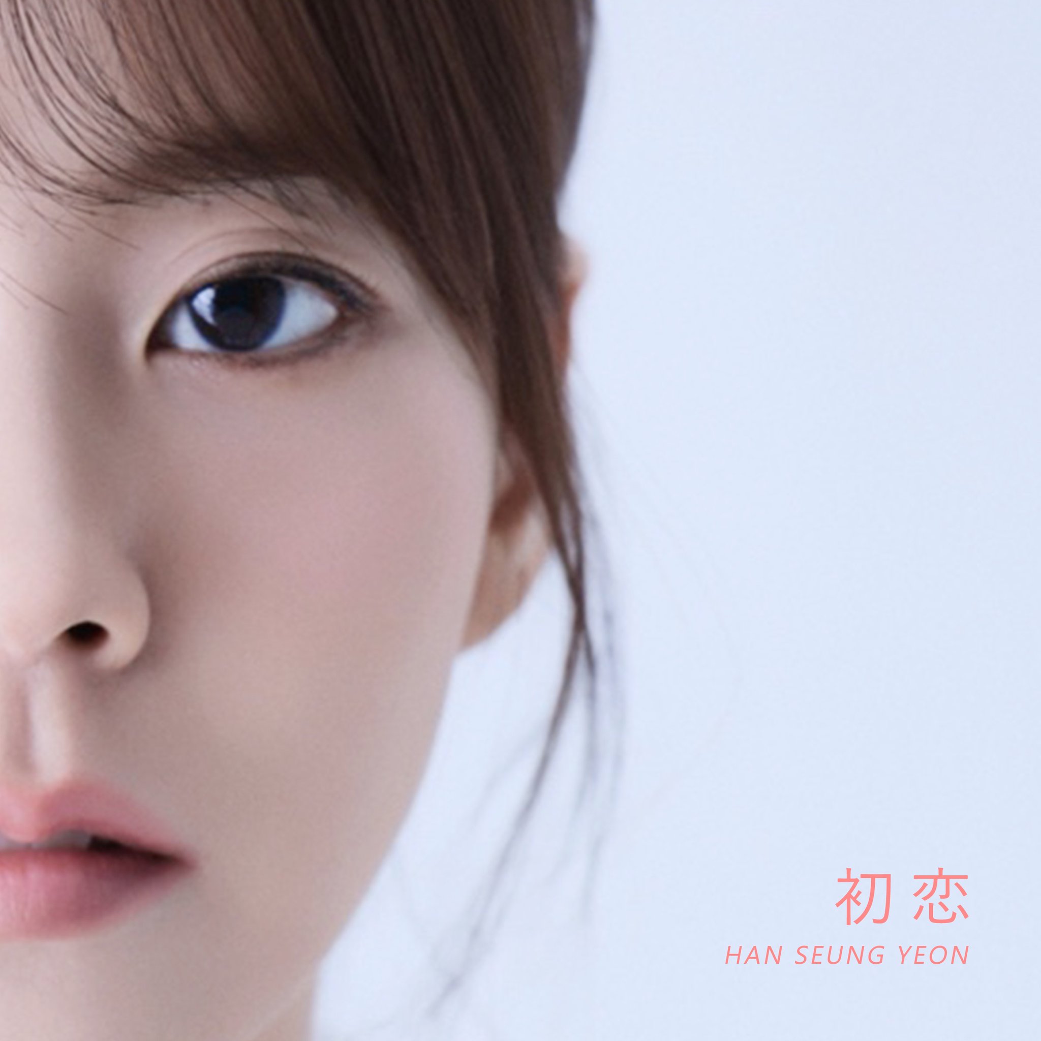 SOMETHING MEMORABLE　PC専用ソフト　KARA　スンヨン Kstyle on X: 