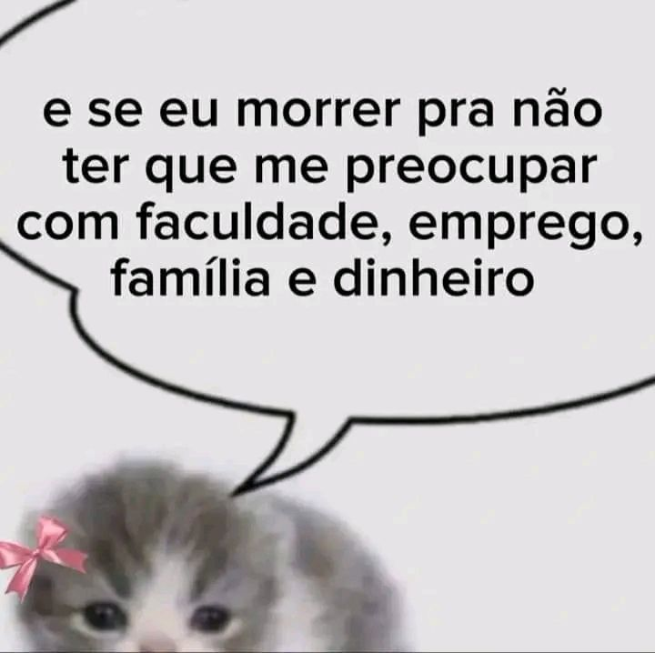 perfil dedicado a gatinhos e peitos (@odeiootaco) on Twitter photo 