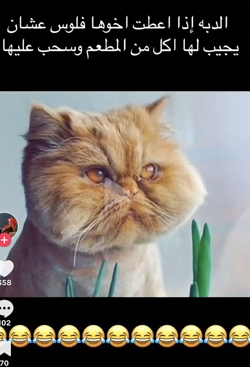 منشنوا نواف تعجبه هالتغريدات 😁