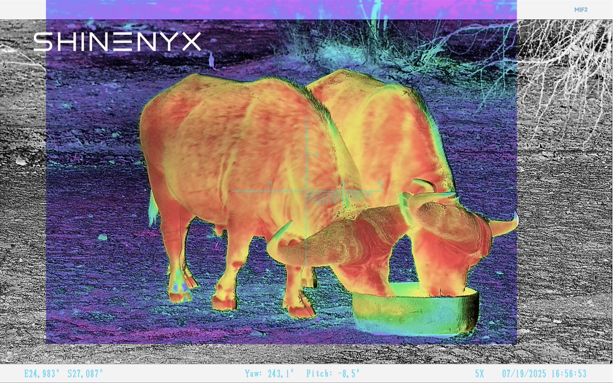 shinenyx_'s tweet image. South Africa. One shot. Total clarity.
Captured with AIM101’s Fusion Mode —
Every contour of the buffalo, crystal clear.
When the image matters, trust ShineNYX.
#AIM101 #ShineNYX #FusionMode #HuntingInAfrica #ThermalFusion #BuffaloHunt #HuntingTech #SeeTheDifference
