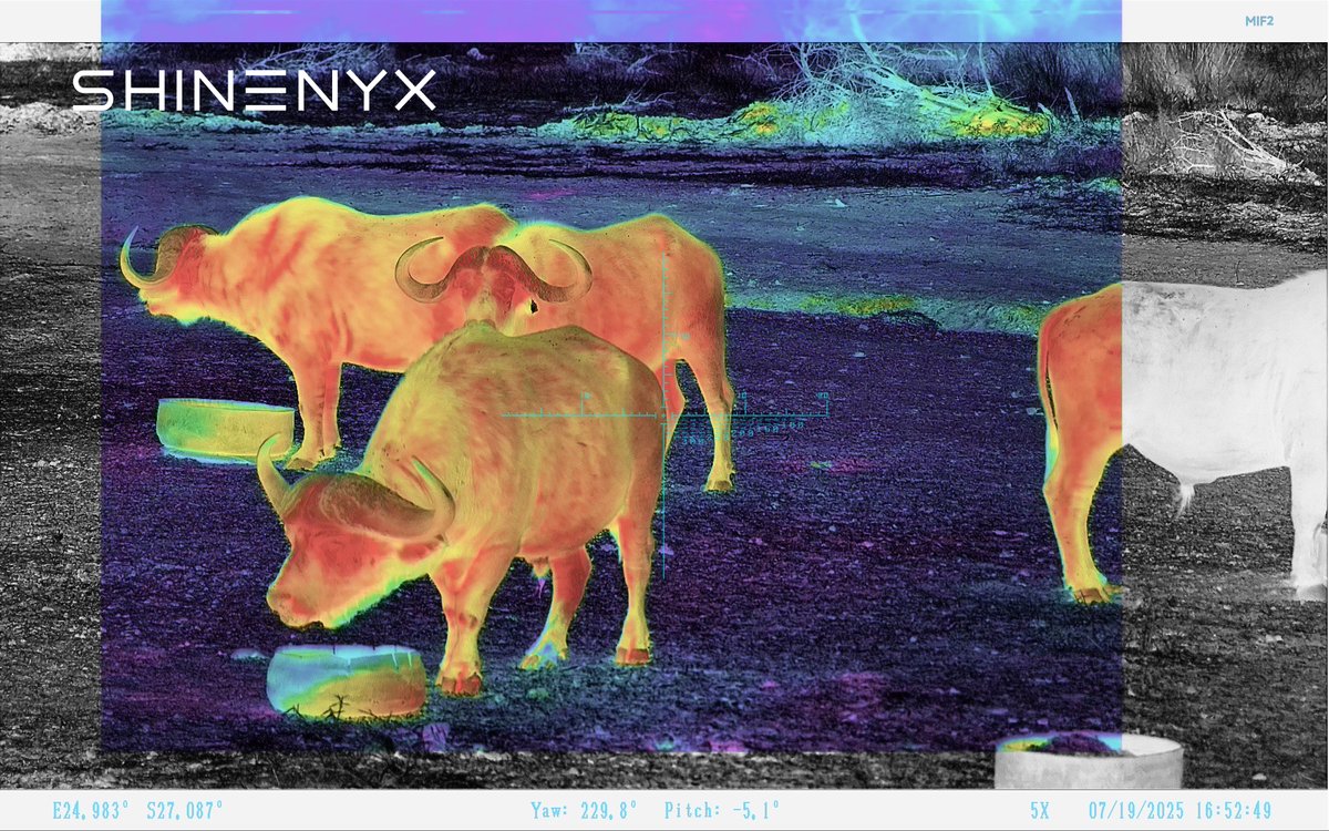 shinenyx_'s tweet image. South Africa. One shot. Total clarity.
Captured with AIM101’s Fusion Mode —
Every contour of the buffalo, crystal clear.
When the image matters, trust ShineNYX.
#AIM101 #ShineNYX #FusionMode #HuntingInAfrica #ThermalFusion #BuffaloHunt #HuntingTech #SeeTheDifference