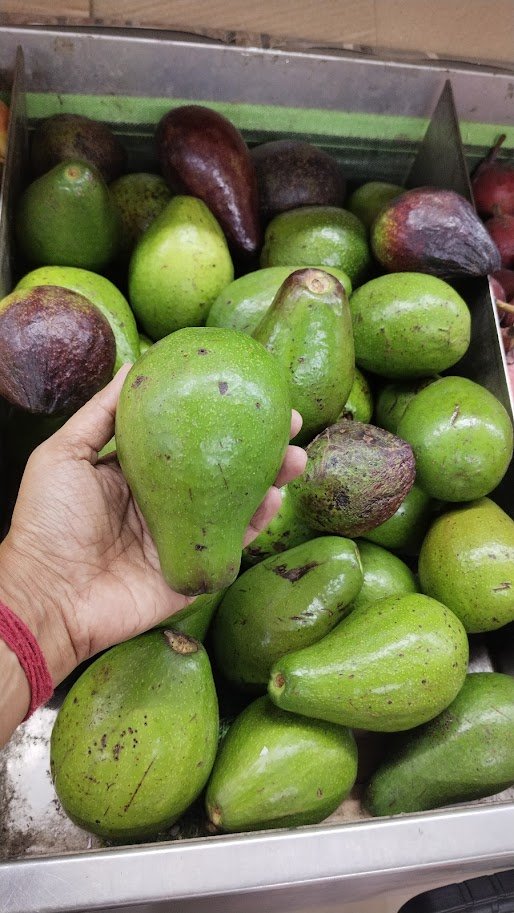 NaturallySudha's tweet image. I used to ignore even buying Avocado fruit just because I have been under the impression that it is not a native fruit, that it belongs to Mexico and America!
But then I watched a video by Scientist, Dr Senthil Kumaran and I understood that I was absolutely wrong!
1/🥑